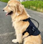 【アウトドアに最適】CORDURA素材の大型犬用ミリタリーハーネス登場！